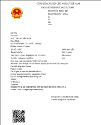 电子签证 (E-Visa)